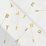 monogram lapel/hat pins
